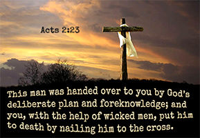 Warren's custom artwork of Acts 2:23