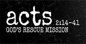 Read Warren's understanding of how this passage can be accurately characterized.