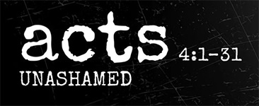Read Warren's understanding of how this passage can be accurately characterized.
