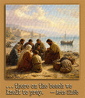 Click to enlarge this picture of Acts 21:5b in action. Picture of Acts 21:5b in action