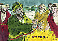 Warren Camp's custom Scripture picture of Acts 28:1–2'