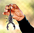 See the enlargement of Warren's custom Scripture picture.