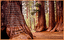 Click to enlarge Warren Camp's custom Scripture picture of Ephesians 3:17–18, NLT. Warren Camp's custom Scripture picture of Ephesians 3:17–18. NLT