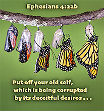 Click to enlarge Warren Camp's custom Scripture picture of Ephesians 4:22b NIV. Warren Camp's custom Scripture picture of Ephesians 4:22b NIV