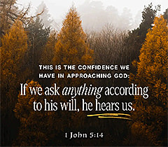 Click to enlarge Warren Camp's custom Scripture picture of 1 John 5:14 NIV. Warren Camp's custom Scripture picture of 1 John 5:14 NIV