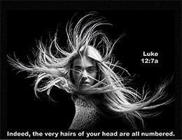 See Warren's enlarged Scripture image of Luke 12:7a 