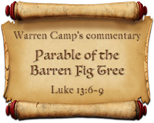 Warren Camp's 'Parables' commentary image