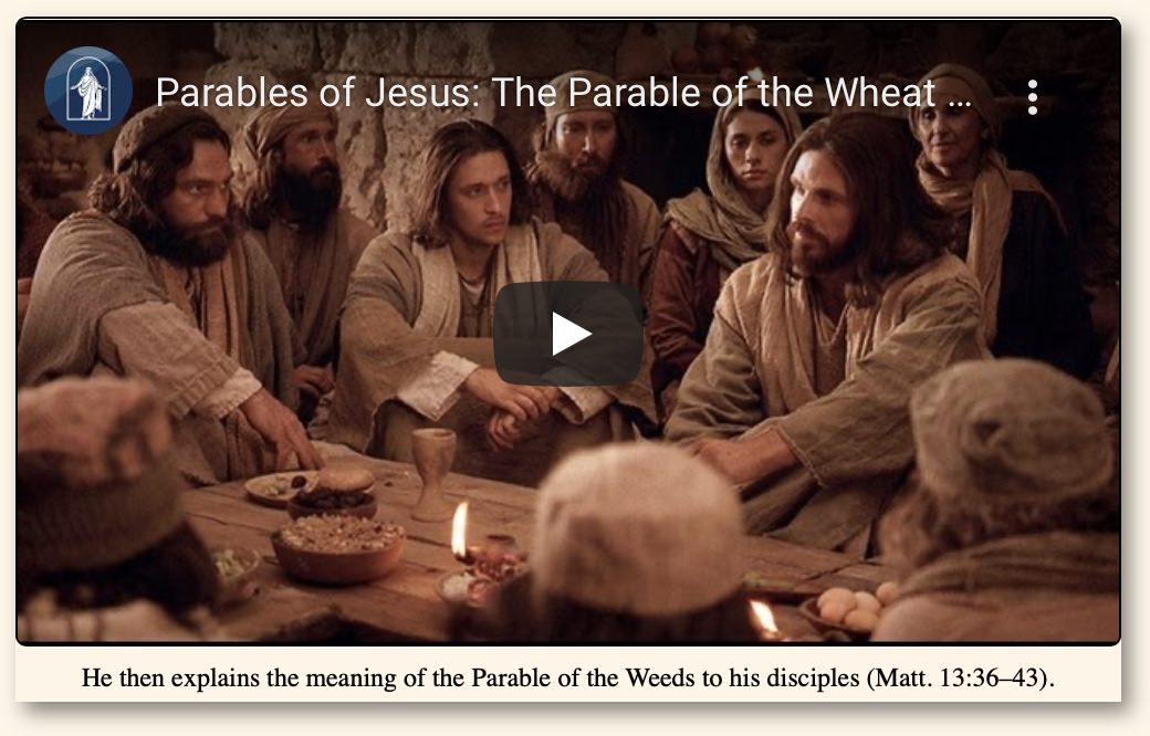 Parable Summary "The Weeds Parable" Warren Camp