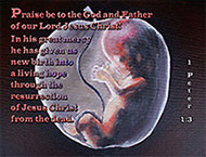 Thumbnail of Warren Camp's custom Scripture picture of 1 Peter 1:3