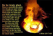 Thumbnail of Warren Camp's custom Scripture picture of 1 Peter 1:6–7