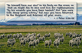 Thumbnail of Warren Camp's '1 Peter 2:24–25' Scripture picture