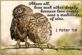 Thumbnail of Warren Camp's custom Scripture picture of 1 Peter 4:8 NIV.