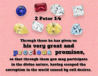 Warren Camp's custom Scripture graphic of 2 Peter 1:4