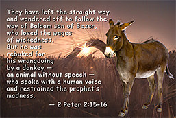 Warren's custom graphic highlights Peter's example of Balaam the prophet and his donkey.