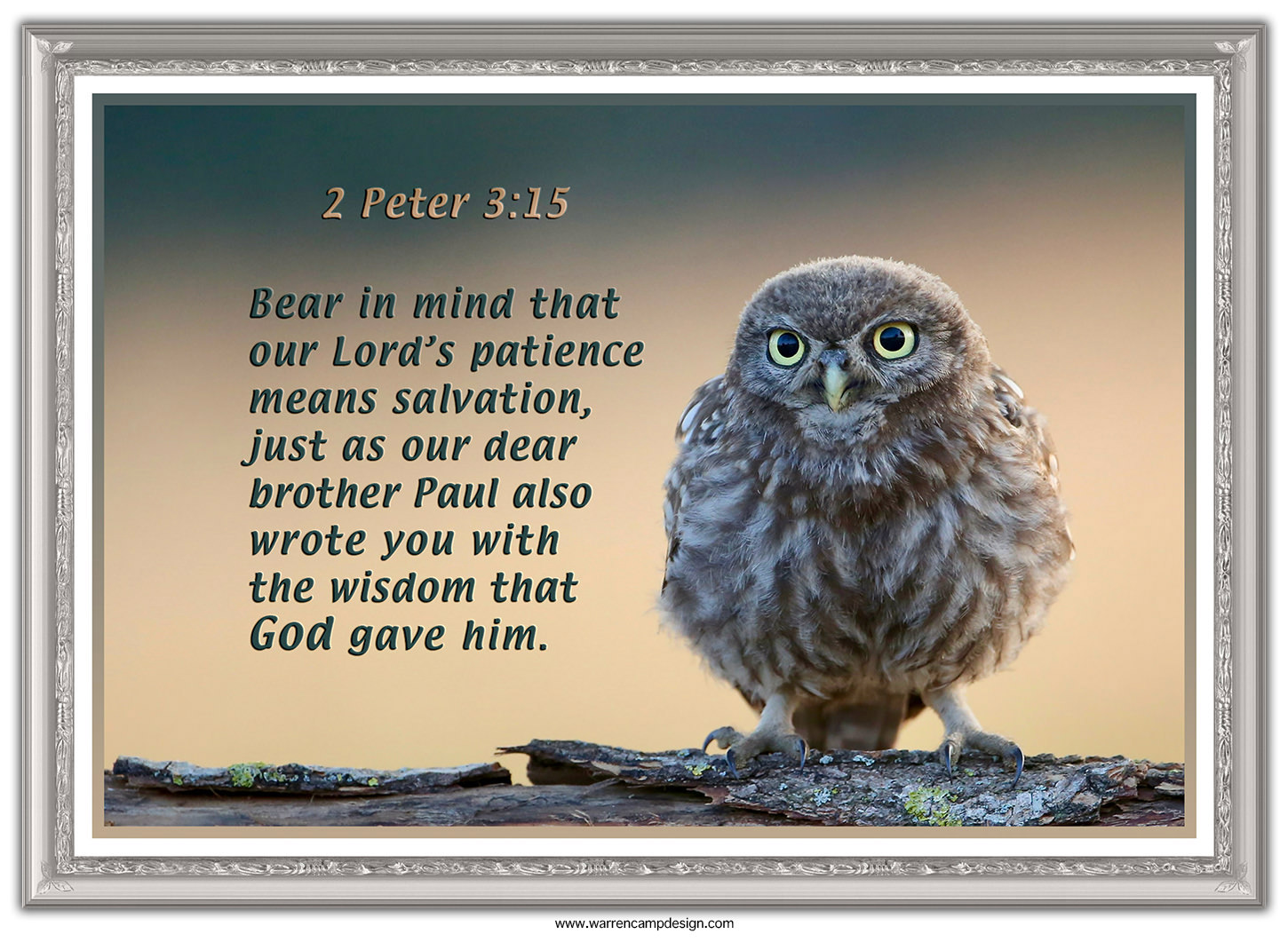 Scripture picture of 2nd Peter 3:15, emphasizing the fact that our Lord's patience will result in salvation