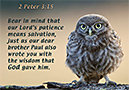 Warren Camp's custom Scripture picture highlighting '2 Peter 3:15'