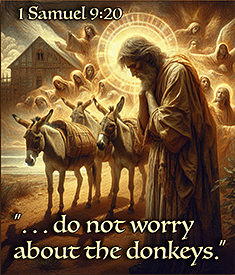 Warren Camp's Scripture picture of 1 Samuel 9:20 NIV
