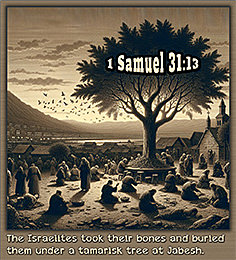 Warren Camp's Scripture picture of 1 Samuel 31:13 NIV