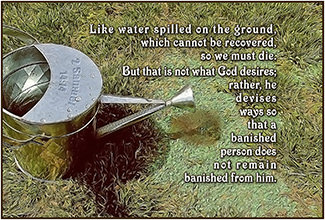 Warren's custom Scripture picture of 2 Samuel 14:14